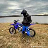 evanmcintosh - @evan.mcintosh - TikTok