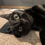 Eva McKay - @ren._375 - Instagram