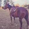 Evahnee Mckinnon - @evahnee.mckinnon - TikTok