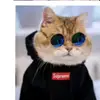 eva_mee - @eva___mee - TikTok