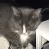 Eva Meeks🤍 - @eva.meeks - TikTok