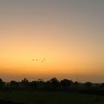 Eva Mehta - @eva_mehta_0608 - Instagram