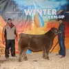 Evan meier - @evanmeier611 - TikTok