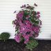 Eva Melanson - Facebook