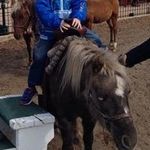 Melinda Evans Melanson - @melindaevansmelanson - Instagram