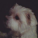 Eva Marie Melton - @peanut4556 - Instagram