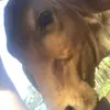 Melvin - @evamelvin7 - TikTok
