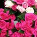 Eva Urey Meneses - Facebook