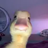 Eva - @evamera567 - TikTok