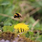 Eva Mercer - @evamercerphotography - Instagram