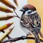 Eva Meredith | Art Account - @sqweeva.art - Instagram