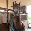 𝓮𝓿𝓪 𝓶𝓮𝓻𝓮𝓭𝓲𝓽𝓱 - @evameredith56 - TikTok