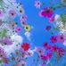Eva Meyers - Facebook