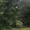 Evan - @evanmichaud1234 - TikTok
