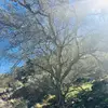 eve Michaud - @evemichaud - TikTok