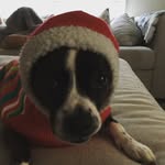 Evan Midgett - @evan_middgett - Instagram