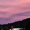 swirling - @eva.midgett - TikTok