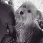 Eva Milburn - @evabird2021 - Instagram