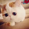 장준석 - @evamillion_ - TikTok