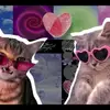Aegean - @mink_eva - TikTok