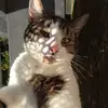 HiichheißeEVA - @eva_minka - TikTok