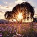 Eva Mircheva - Facebook