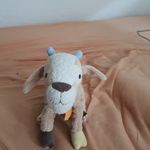 Eva Mohr - @evamohr71 - Instagram