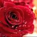 Eva Monet - Facebook