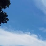 Lily Manoban - @eva.monteverde.739 - Instagram