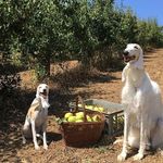 eva moody - @evamayart_ - Instagram