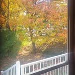 eva n moody - @evanmoody61 - Instagram