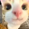 Eva Mooney - @eva.mooney7 - TikTok