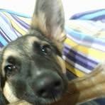 Eva Morabito - Facebook