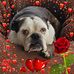 Eva Moseley - Facebook
