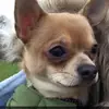 Eva Murray  - @kelvo.heath - TikTok