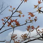 Eva Ngai - Facebook