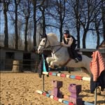 Eva Novick 🐴❤️ - @_spiddal_delight_ - Instagram