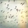 EvaOjeda - @evaojeda - TikTok