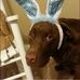 Eva O'Neal - Facebook