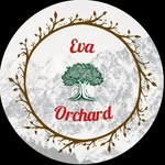 Eva Orchard | Cafe & Rooms | Parvati Valley - @eva.orchard.kalgha - Instagram