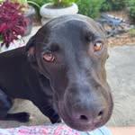 Eva Maria Poloskey-Osborn - @cameo674 - Instagram