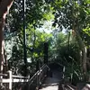 eva_osborn - @eva_osborn - TikTok