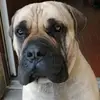 Eva Osborne - @eva.osborne - TikTok