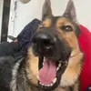 ava ostrowski - @ava_ostrowski - TikTok