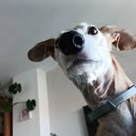 eva - @evaot.to - Instagram