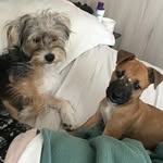 @eva_otto_frijolitos - Instagram