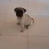 evapalomo11 - @evapalomo11 - TikTok