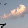 liz - @eva.palomo5 - TikTok