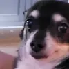 Evan.Paul - @evan.paul2 - TikTok