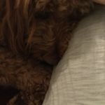 Eva Paulson - @evapaulson2018 - Instagram